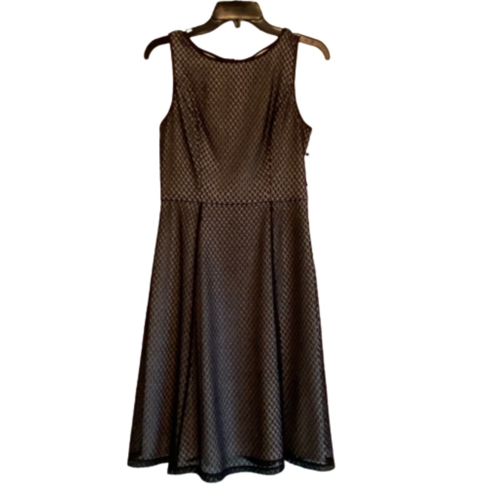 NWT gorgeous Adrianna Papell black and white dress